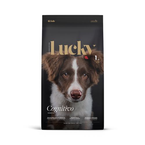 Lucky Desarrollo Cognitivo 1Kg