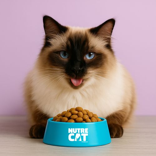 Nutrecat Tilapia Ext 8 kg