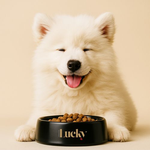 Lucky Cachorros Raza Grande Ext 8 Kg