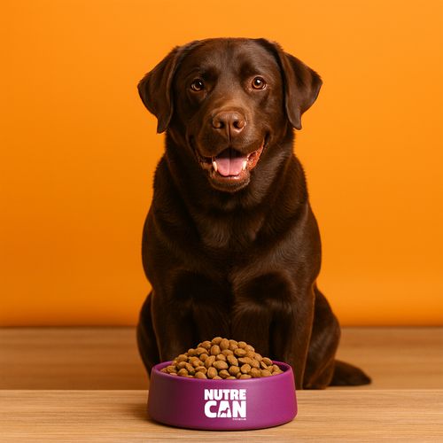 Nutrecan Pollo  25 kg