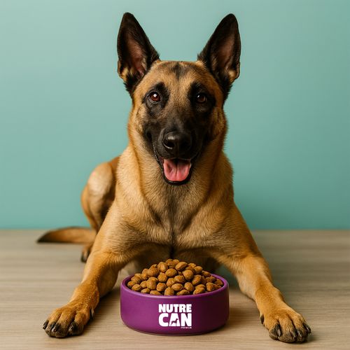 Nutrecan Salmon  800 g