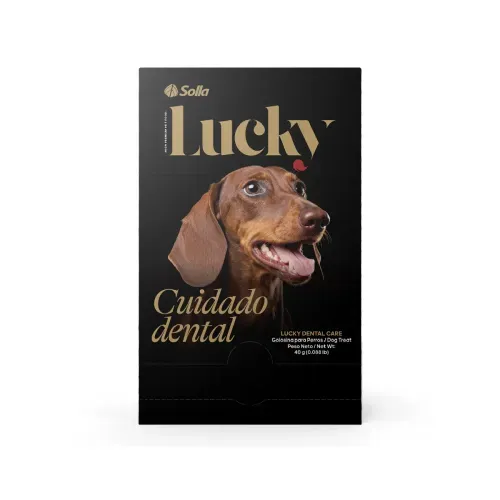 Lucky Cuidado Dental