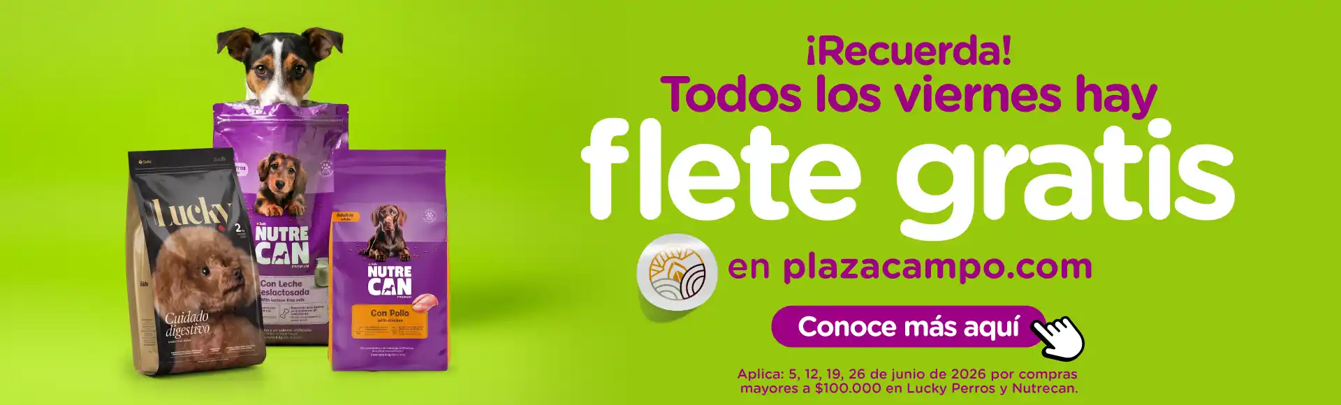 Hoy es viernes de flete gratis en Plaza Campo
